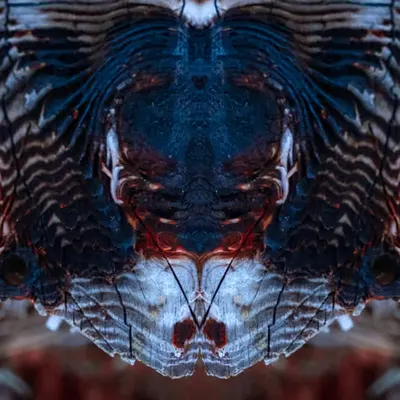 Rorschach #185