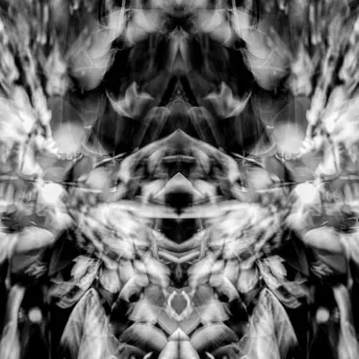 Rorschach's: Phase One #1/20