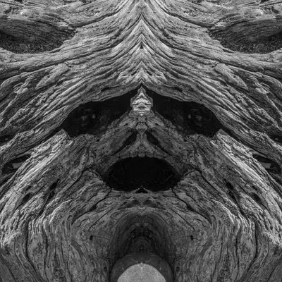Rorschach #191