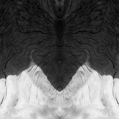 Rorschach #193