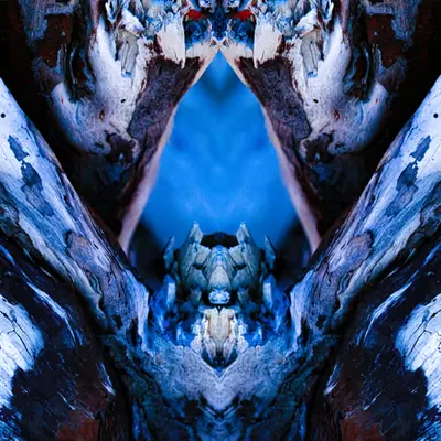 Rorschach #198