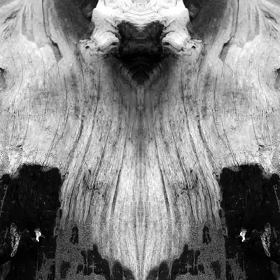 Rorschach #199