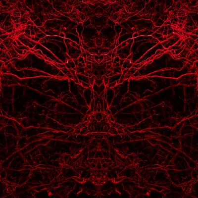 The Descent: Chapter III