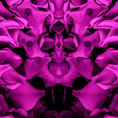Rorschach #255