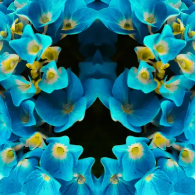 Rorschach #256