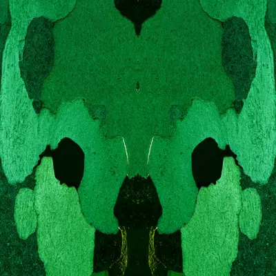 Rorschach #343