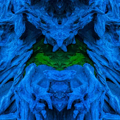Rorschach #351