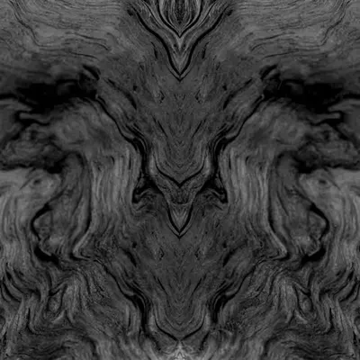 Rorschach #352