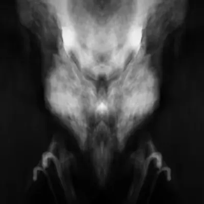 Rorschach #74