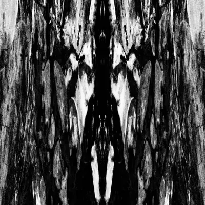 Rorschach #83