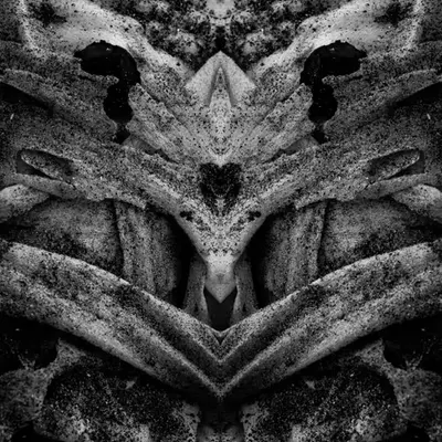 Rorschach IV