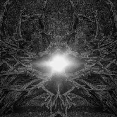 Fallen: The Desiccation of an Angel.