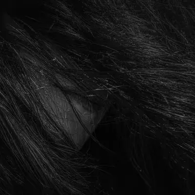The Woman who hid her face from The World.