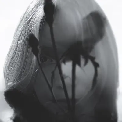 A Love for Black Thorns