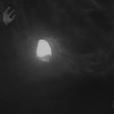 The Witch, The Willow & The Wish