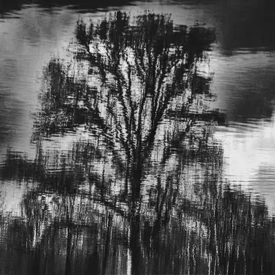 Lakeside Echoes: Reflections Of A Weathered Soul