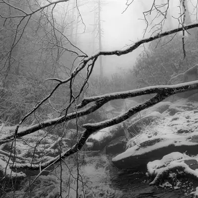 Winter Heart
