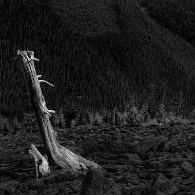 The Lone Luminary