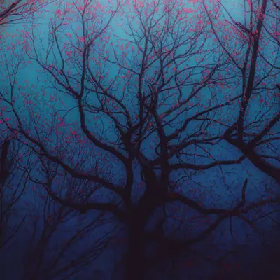 The Crimson Heartwood: A Chalice For Blood & Souls
