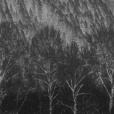 Grimland Whispers
