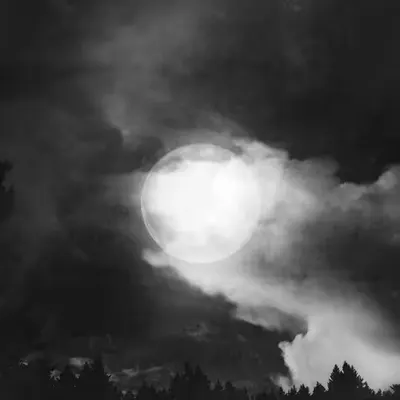 Midnight Majesty