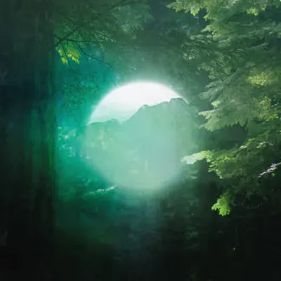 The Emerald Veil