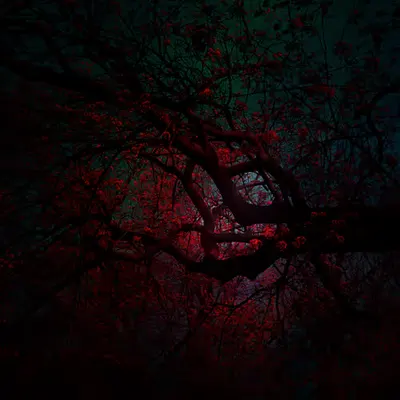 Midnight's Bloom: Nocturne Of The Sanguine Tree