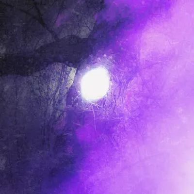Beyond The Veil Of The Violet Light