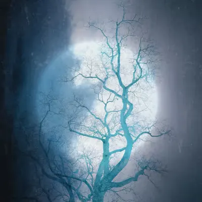 The Night Sentinel: Celestial Lumination