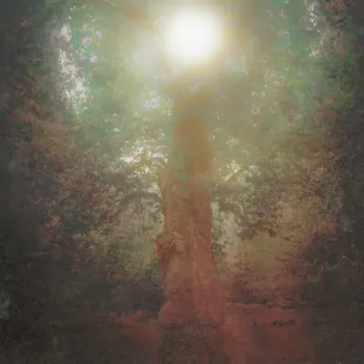 The Wishing Tree