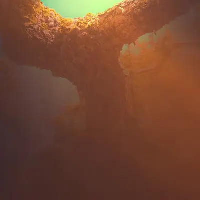 Light Of The New Dawn: The Beginning Of Hope