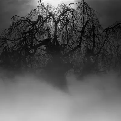 The Monster In The Mist