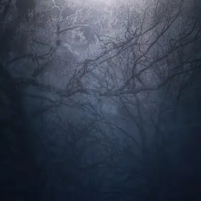 Our Limbs Wither Under The Dying Light