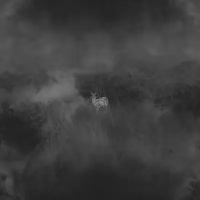 Lost & Alone
