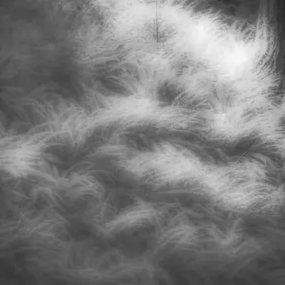 Song Of The Pale Meadow