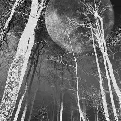 The Moonlit Ballet: Tales Of the Whispering Birch Grove