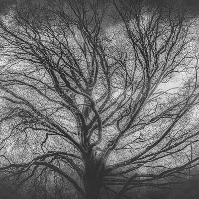 Overgrowth