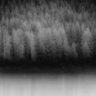 The Black Shore