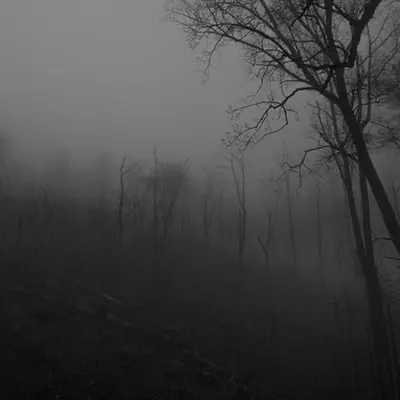 Withering Woods