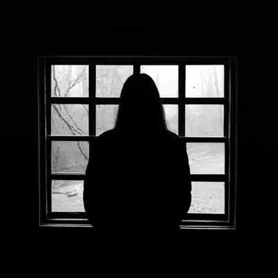 The Woman In The Window