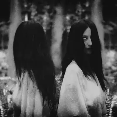 Doppelgänger 