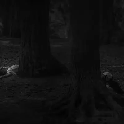 Severed