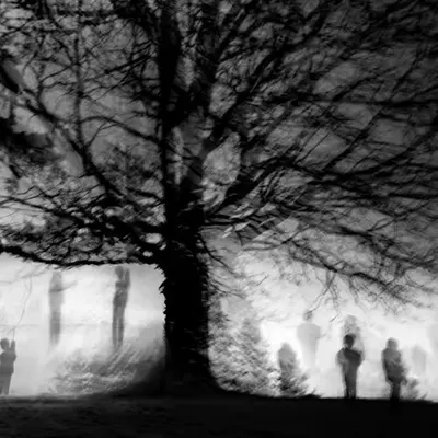 Children Of The Wailing Tree