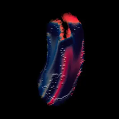 S-Unit(-288)- Before The SUrreal Big Bang