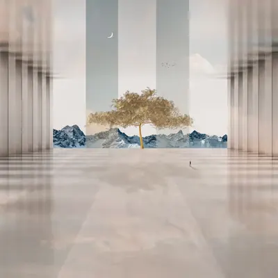 Beyond the veil #4/4