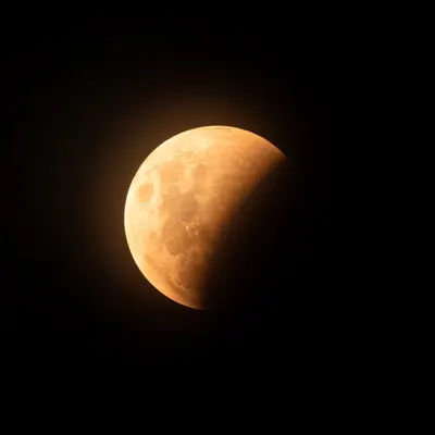 Partial Lunar Eclipse