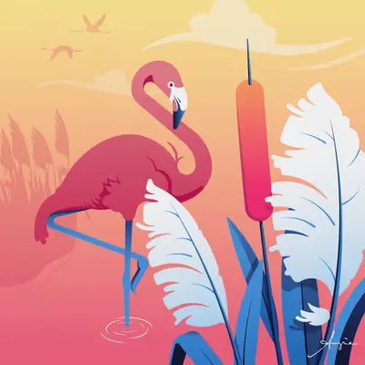 Flamingo Lagoon