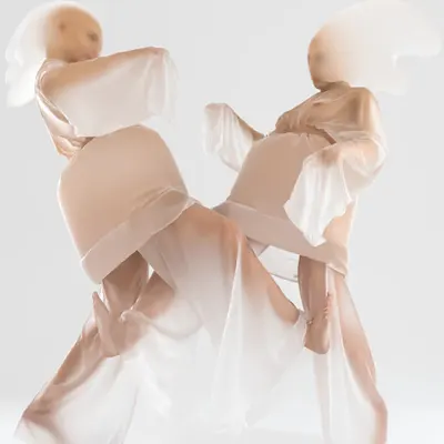 The Fight of Translucent Twins 