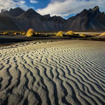 Dune