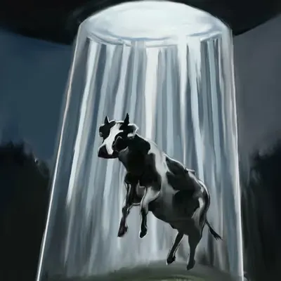 Night Ride